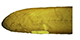 FileNo.182-037.jpg