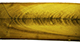 FileNo.182-038.jpg