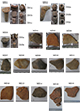 FileNo.182-040.jpg