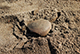FileNo.182-059.jpg