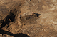 FileNo.182-069.jpg