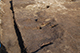 FileNo.182-074.jpg