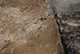 FileNo.182-079.jpg