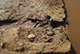 FileNo.182-080.jpg