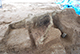 FileNo.182-081.jpg