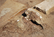 FileNo.182-082.jpg