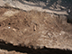 FileNo.182-087.jpg