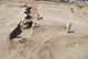 FileNo.182-103.jpg