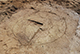 FileNo.182-114.jpg