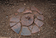 FileNo.182-118.jpg