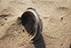 FileNo.182-119.jpg