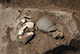 FileNo.182-120.jpg