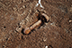 FileNo.182-123.jpg