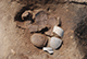 FileNo.182-125.jpg