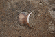 FileNo.182-129.jpg