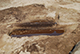 FileNo.182-132.jpg