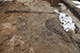 FileNo.182-139.jpg