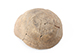 FileNo.182-189.jpg