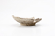 FileNo.182-218.jpg