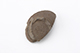 FileNo.182-222.jpg