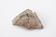 FileNo.182-223.jpg