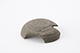 FileNo.182-229.jpg