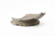 FileNo.182-245.jpg