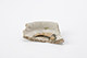 FileNo.182-252.jpg
