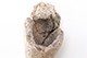FileNo.182-282.jpg