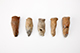 FileNo.182-285.jpg