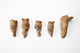 FileNo.182-286.jpg