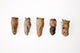 FileNo.182-288.jpg