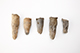 FileNo.182-289.jpg