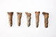FileNo.182-290.jpg