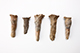 FileNo.182-292.jpg
