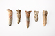 FileNo.182-293.jpg