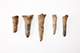 FileNo.182-294.jpg