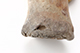 FileNo.182-315.jpg