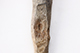 FileNo.182-317.jpg