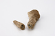 FileNo.182-318.jpg