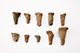 FileNo.182-319.jpg
