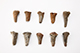 FileNo.182-320.jpg