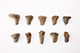 FileNo.182-321.jpg