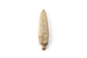 FileNo.182-351.jpg