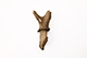FileNo.182-356.jpg