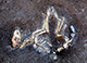 FileNo.182-362.jpg
