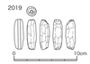 図版 182-J2019.png