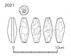 図版 182-J2021.png
