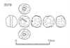 図版 182-J2079.png