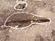 FileNo.185-027.jpg